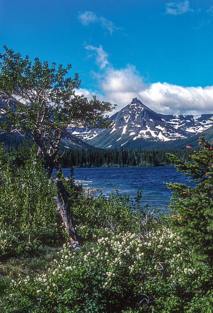istock Glacier NP - Swiftcurrent Lake - 1989 2246847630
