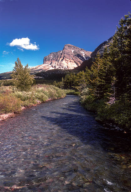 Glacier NP - Many Glacier Trail - Mountain Stream Vertical - 1989
