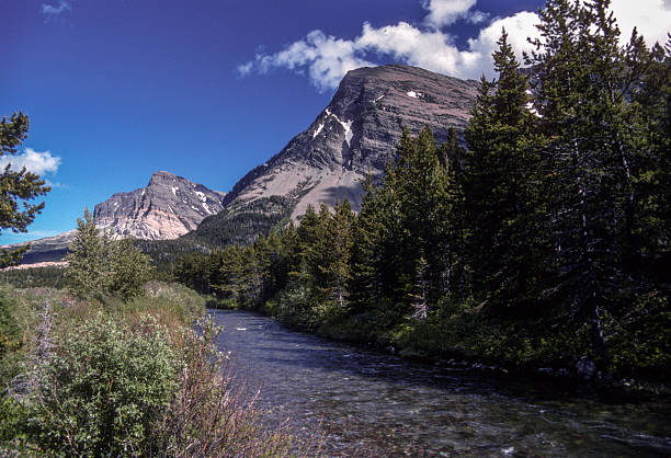 Glacier National Park - Trail in the Many Glacier area, paraleling a mountain stream - 1989. Scanned from Kodachrome 64 slide.