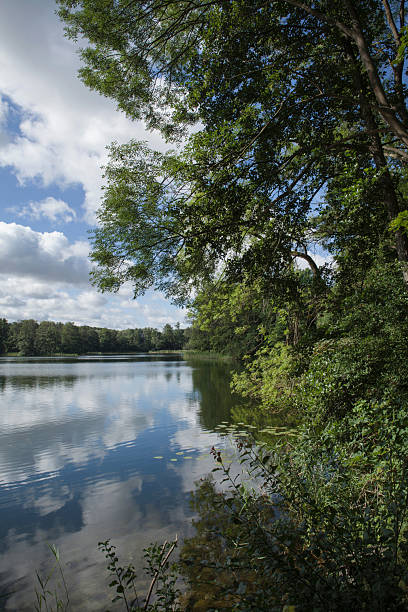 istock Rural lake at Schorssow Brandenburg Germany 2246853104