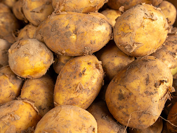 istock Farm Fresh Potatoes Stacked Up 2246855191