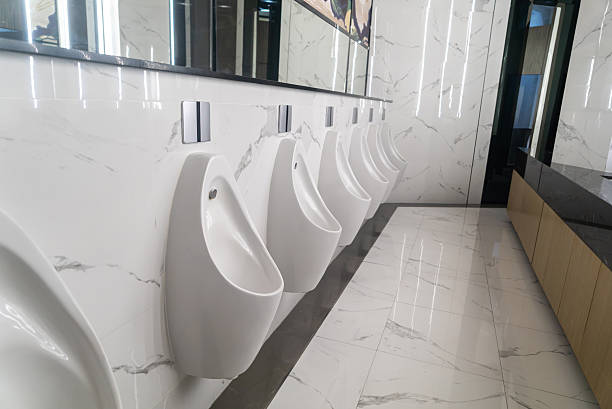 istock Modern Urinal Installation in Stylish Bathroom 2246861550
