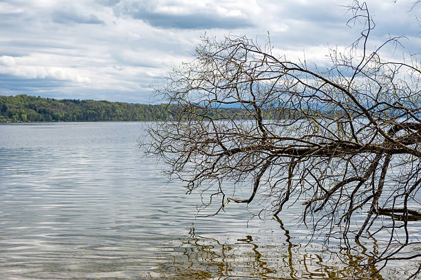 A stunning lake landscape framed by forest trees and distant mountains. Calm water, natural colors, and peaceful scenery create a perfect outdoor nature view.