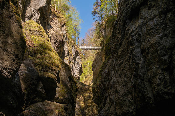 A pedestrian footbridge hangs high over rocky terrain in a dense forest. Scenic natural setting with trees, cliffs, and adventurous outdoor atmosphere.