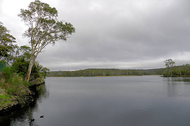 Whispering Wall Reserve enchants with its unique acoustic phenomenon. This curved concrete dam, nestled in the Barossa Valley, acts as a remarkable sound conduit. A whisper uttered on one side travels clearly over 140 metres to be perfectly heard on the other.  Beyond this marvel, the reserve offers serene parklands, ideal for picnics with stunning views of the reservoir and surrounding hills. It’s a favourite for families and curious travellers, seamlessly blending human engineering with natural beauty. A visit here is an unforgettable experience of science and serenity.