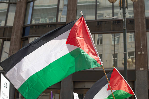 istock palestinian flags waving at city 2246869865