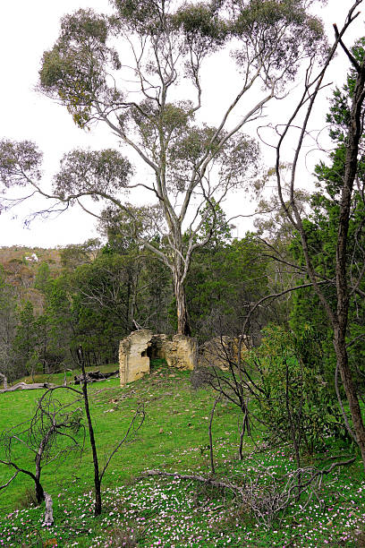 istock Barossa Valley, South Australia, Australia 2246869879
