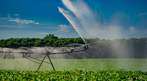 istock Irrigation system is watering summer field. Automatic Sprinkler irrigation system watering in the vegetable farm. Sprinkler Irrigation system for watering a farm lawn. Agriculture irrigation. 2246874740