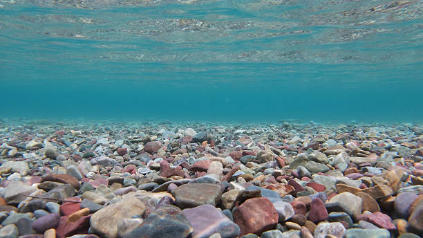 istock Underwater Colorful Rocks in a Lake 2246879482