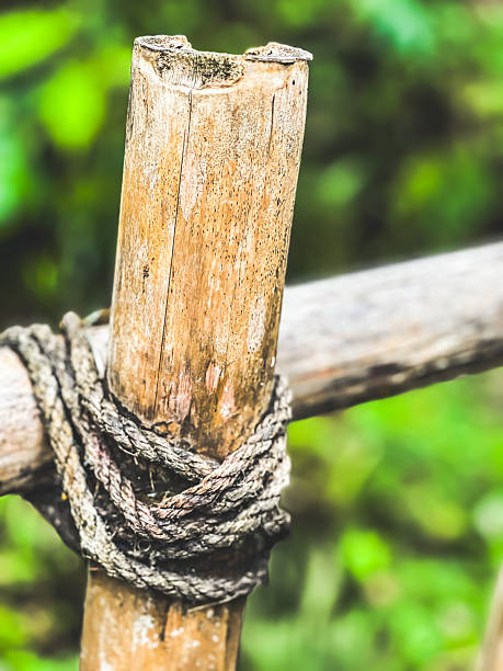 Rope is used to create a sturdy fence.  In a tropical climate, the use of rope is a constant help with humidity levels so hig