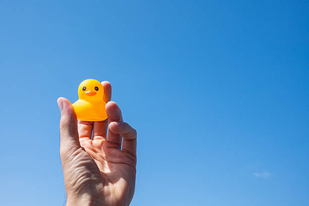 A rubber duck with a surfboard sits in the stream water in frosty weather