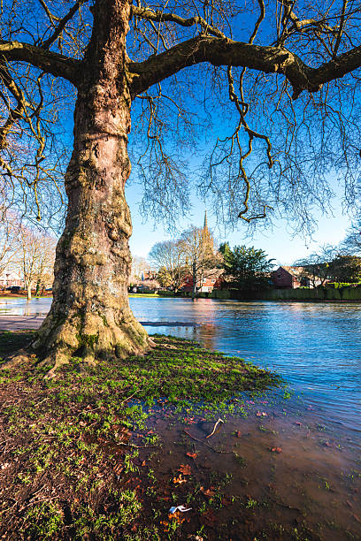 istock Marlow All Saints Church reflected in flood water amongst trees 2246885198