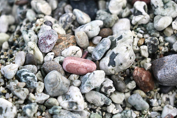 Close-up of colorful, naturally polished pebbles with unique patterns and textures, creating an organic and calming composition ideal for backgrounds, nature themes, and design projects.