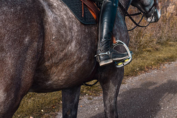 Close-up of Mexican Charro boot nestled in leather Charro stirrup.Taken in Los Banos, California, USA