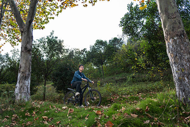 istock A person riding a bicycle in a wooded area with autumn leaves 2246897708