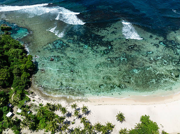 istock White sand beach with palm trees and clear water. Siargao, Philippines. 2246898523