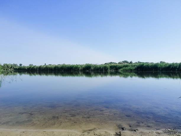 calm lake with green plants along the waters edge. The clear water reflects the surrounding nature, making it a serene and peaceful place.