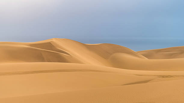 istock The desert meets the ocean in Namibia 2246909429
