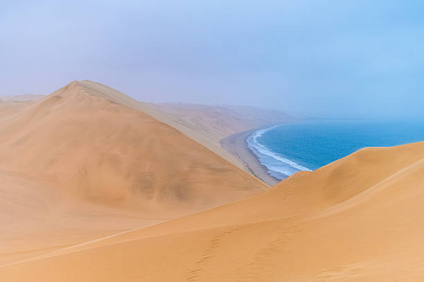 istock The desert meets the ocean in Namibia 2246910722