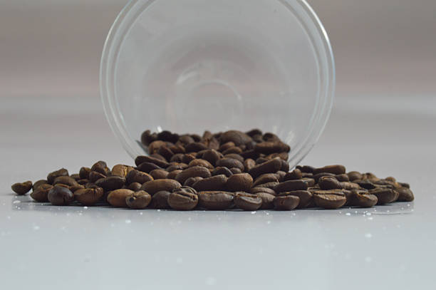 Arabica coffee beans spilled from a plastic bottle and scattered around