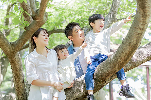 istock Happy Asian family image 2246914325