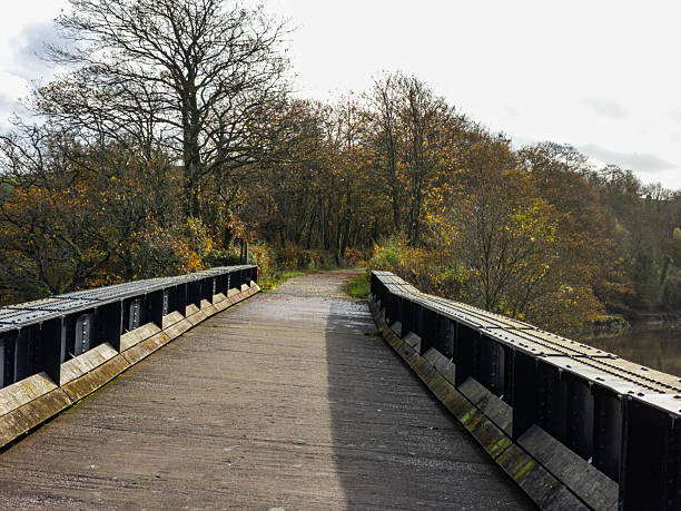 istock wooden bridge over the river 2246916927
