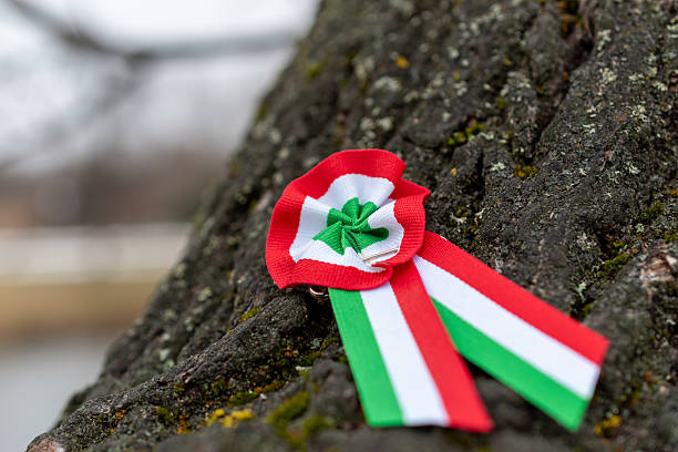 istock Hungarian Cockade on Tree Branch 2246921011