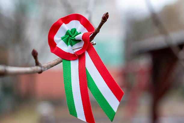 istock Hungarian Cockade on Tree Branch 2246921013