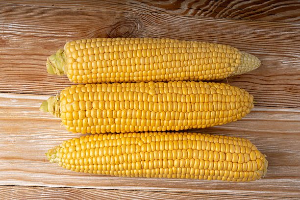 istock Sweet corn ears closeup. Fresh maize cob macro texture, autumn sweetcorn, corncob close up 2246921355
