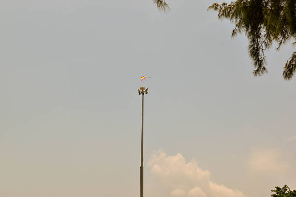 Kite flying above stadium light pole against clear sky, framed by tree branches; highlights vertical scale and urban flight proximity.