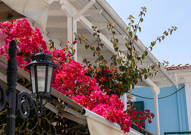 istock Flowers and a balcony in Lefkada 2246926963