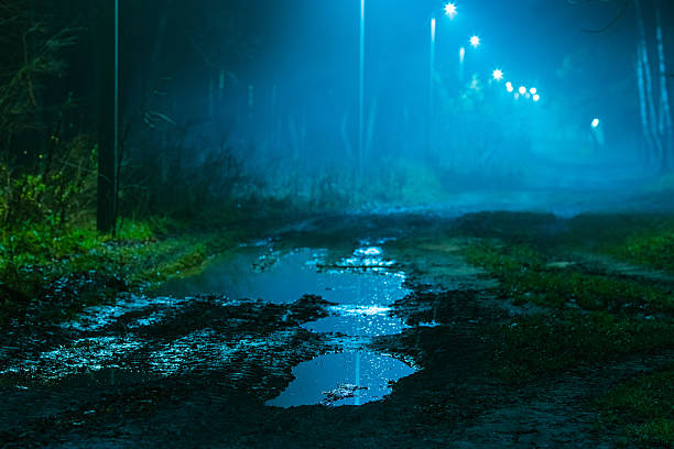 Puddle on road. Mystical foggy landscape