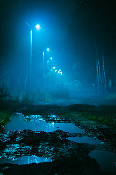 Puddle on road. Mystical foggy landscape