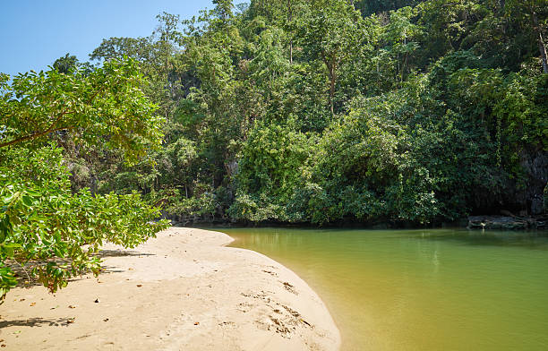 istock Puerto Princesa Subterranean River estuary. 2246929036
