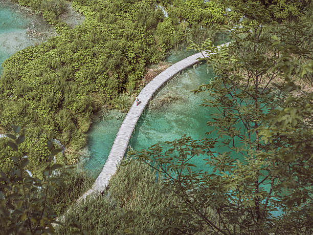 Plitvica, Croatia- July 14, 2024: Aerial view of a wooden boardwalk curving above emerald green water surrounded by dense vegetation in Plitvice Lakes National Park, Croatia.
