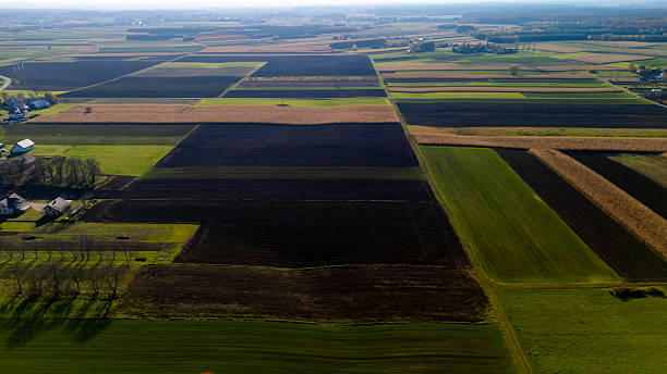 istock Aerial view of expansive farmland showcasing different soil types and crop patterns, highlighting agricultural diversity amidst clear skies. 2246931643