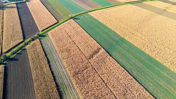 istock Aerial view of diverse agricultural fields showcasing various crops and brown, green patterns under bright sunlight. Ideal for agriculture, farming, and environmental themes. 2246931706