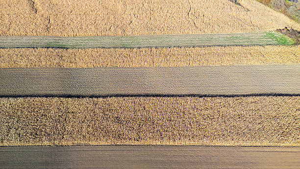 istock Aerial view of golden wheat fields with various textures and patterns captured during harvest season. Ideal for agricultural, nature, or rural lifestyle themes. 2246931764