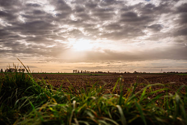 A vivid evening sky glows with warm sunset colors above green farmland. Soft light filters through layered clouds, illuminating the textures of the fields below and emphasizing the calm atmosphere of the countryside.