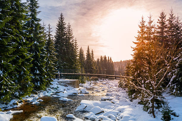 istock Pedestrian broder bridge over Jizera River in winter 2246932765