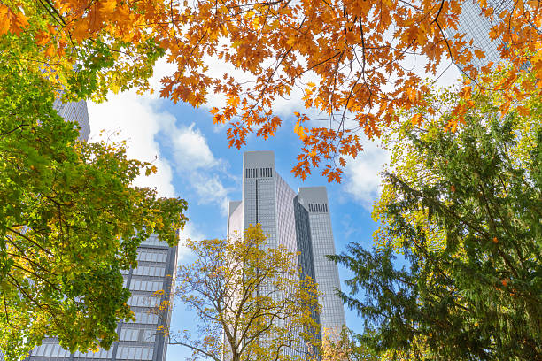 istock Frankfurt's Towers Framed by Seasonal Botanical Elements 2246933550