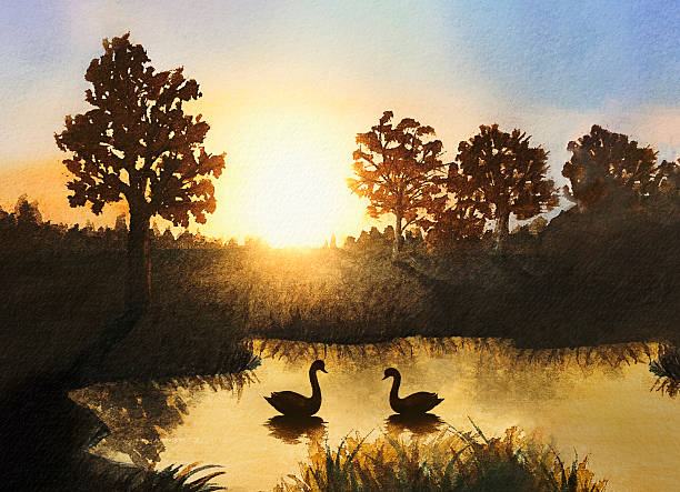 A serene pond reflects the warm hues of a sunset as two elegant swans glide across the water surrounded by trees. Nature's beauty is captured in this peaceful scene.