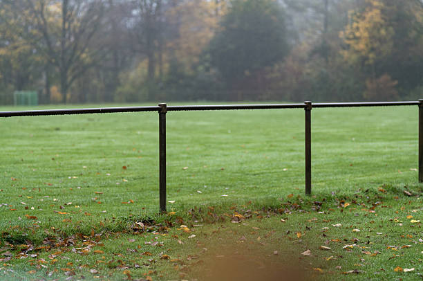 Green grass covered with fallen leaves on a soccer field during a rainy autumn day