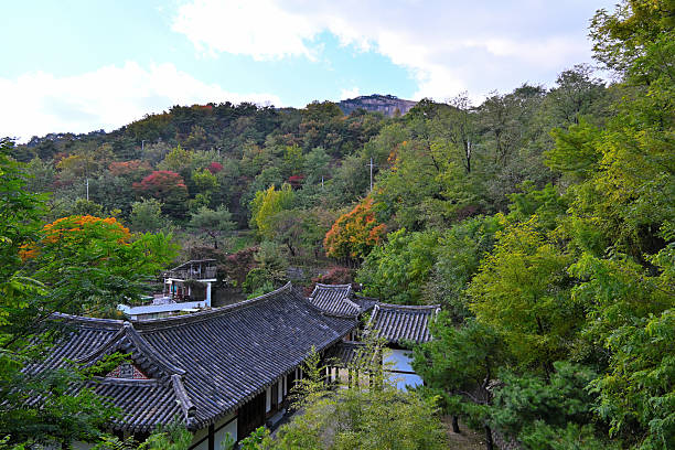 istock Nature in beautiful harmony with the deck road 2246934825