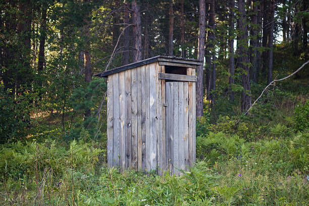 istock Wooden toilet between summer trees 2246934836