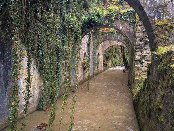 Ancient, ruined aqueduct covered in vines and moss, with stone arches and a stream of water flowing through a submerged tunnel in Spain