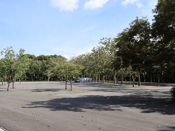 Serene park scene, empty asphalt area surrounded by lush greenery and trees under a clear blue sky, perfect for relaxation.