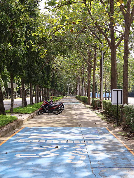 istock Tranquil park pathway, serene atmosphere with lush greenery, wooden benches, inviting for relaxation and contemplation. 2246935102