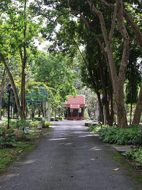 istock Cozy cottage nestled in lush forest, charming wooden structure surrounded by tall greenery, inviting tranquil escape. 2246935267