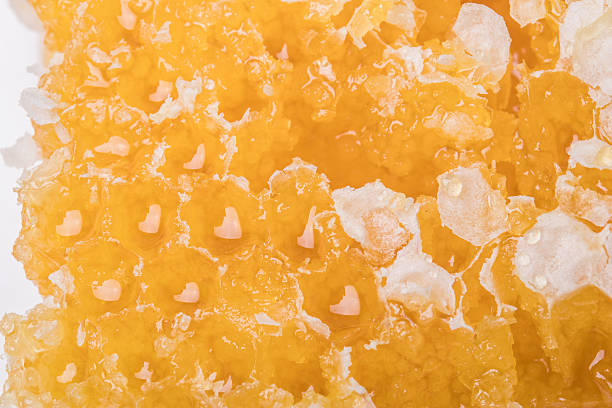 istock Honey golden honeycomb closeup macro 2246935315